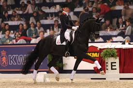 2014 WBFSH Gribaldi